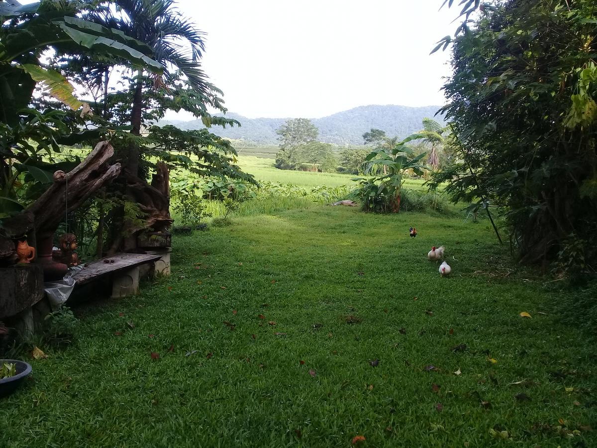 Baan Suan Jantra Home Stay Τσιανγκ Ράϊ Εξωτερικό φωτογραφία