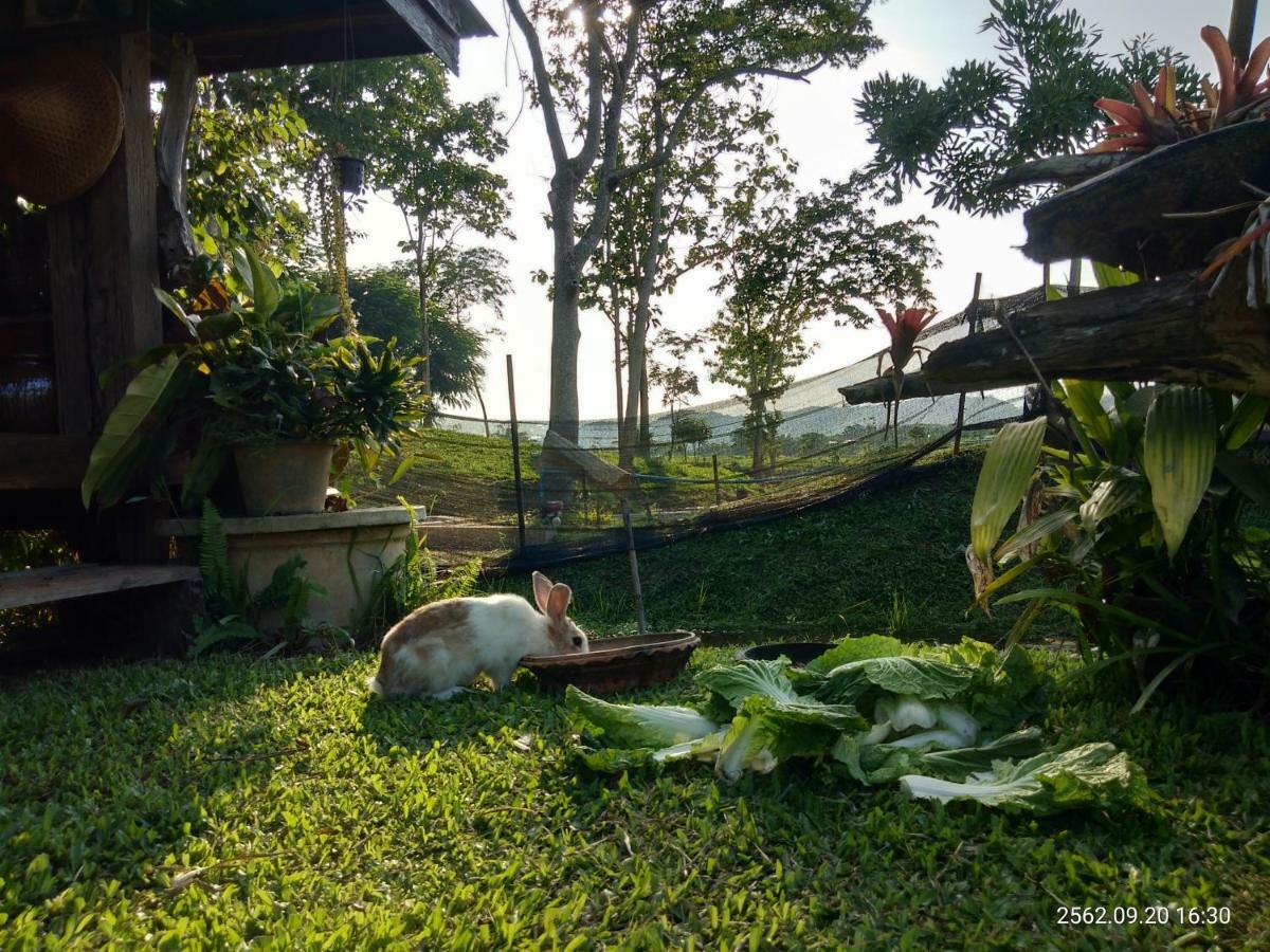 Baan Suan Jantra Home Stay Τσιανγκ Ράϊ Εξωτερικό φωτογραφία